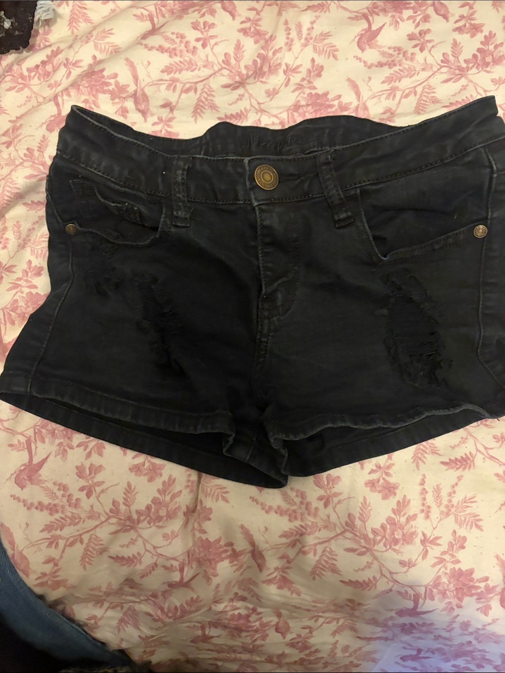 Women's Black Distressed Denim Jean Shorts